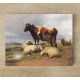 Ceramic tile mural - farm - lambs and cows 