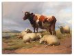 Ceramic tile trivet - farm - lambs and cows 