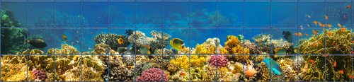 Tile mural - coral reef III.