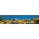 Tile mural - coral reef III.