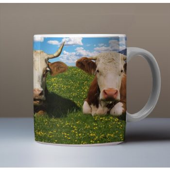 Elephant mug