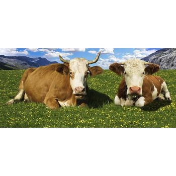 Bögre elefánt mintával