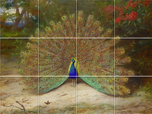 Tile mural - farm - peacock III. 