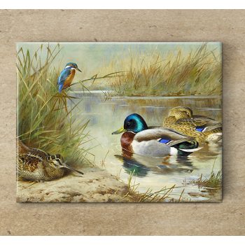 Tile trivet - birds - Kingfisher, woodcock and mallards