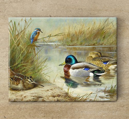 Tile mural - birds - Kingfisher, woodcock and mallards