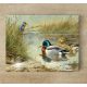 Tile mural - birds - Kingfisher, woodcock and mallards