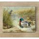 Tile mural - birds - Kingfisher, woodcock and mallards