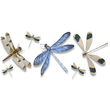 Dragonfly mug
