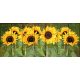 Ceramic tile mural - sunflowers 