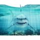 Tile mural - water world - Great White shark