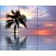 Beach and palm tree in the sunset - tile mural