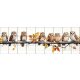 Ceramic tile mural - colorful bird