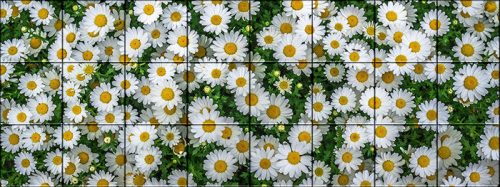 Csempekép mozaik - százszorszépek