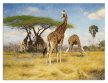 Tile trivet - wildlife -giraffe 