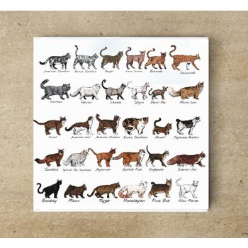 Ceramic tile trivet - farm - cat breeds  Ceramic tile trivet - farm - cat breeds
