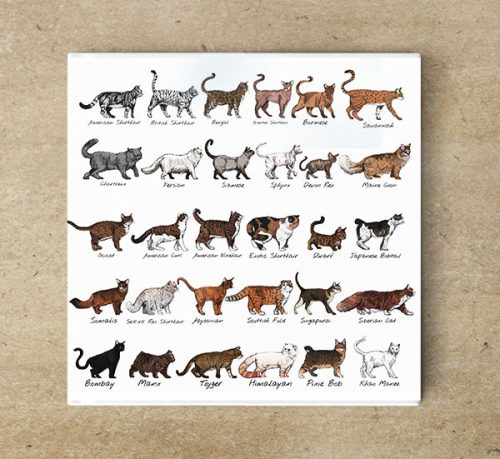 Ceramic tile mural - farm - cat breeds 