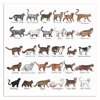 Ceramic tile trivet - farm - cat breeds
