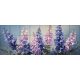 Ceramic tile mural - Orchids