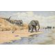 Afrikai elefántok a tónál - mozaik csempe (160x100 cm)