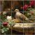 Mourning dove on an antique birdbath with red and cream roses, tile mural