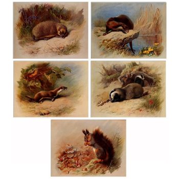 Tile mural - wildlife -set of 5 pcs  Tile mural - wildlife -set of 5 pcs