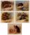 Tile mural - wildlife -set of 5 pcs 