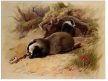 Tile mural - wildlife -set of 5 pcs 