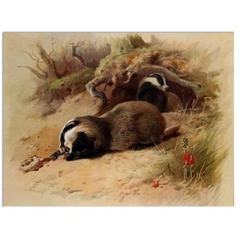 Tile mural - wildlife -set of 5 pcs