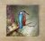 Ceramic tile mural - birds -Kingfisher II. 