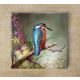 Ceramic tile mural - birds -Kingfisher II. 
