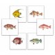 Tile mural - water world - fish set 