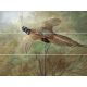 Tile mural - birds -Pheasant 