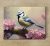 Ceramic tile mural - birds -blue tit 