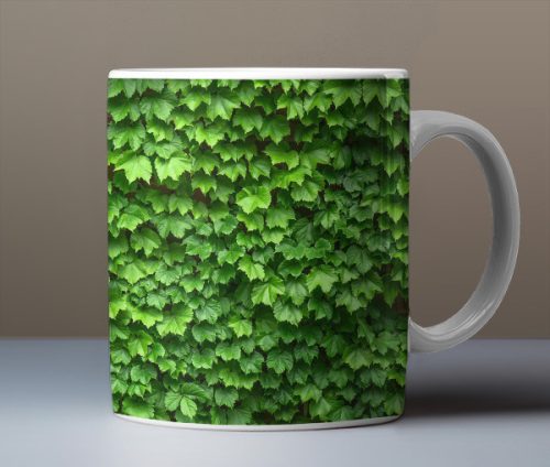 Ivy mug
