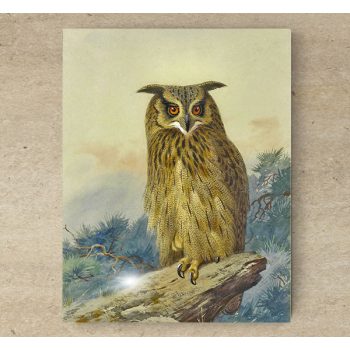 Ceramic tile trivet - birds -Eagle owl 