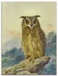 Ceramic tile trivet - birds -Eagle owl 
