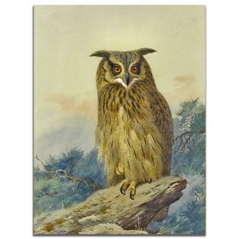 Ceramic tile trivet - birds -Eagle owl 