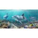 Tile mural - water world - dolphins 