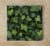 Ivy - ceramic tile trivet