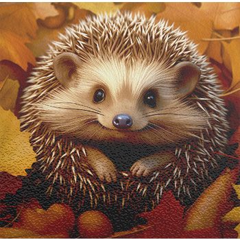 Hedgehog - kitchen set