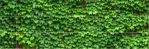 Ceramic tile mural - Ivy