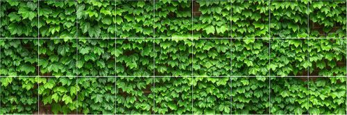 Levél mintás csempe - vadszőlő (136x45cm)