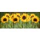 Ceramic tile mural - sunflowers 