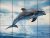 Tile mural - water world - curious dolphins 