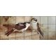 Tile mural - birds -swallows 