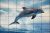 Tile mural - water world - curious dolphins 