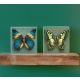 Tile trivet set - butterflies