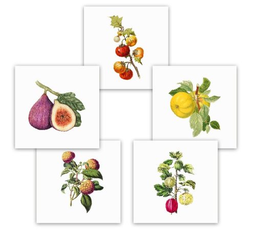 Ceramic tile mural - vegetables and fruits 