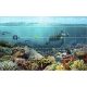 Tile mural - coral reef IV.