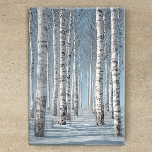 Birch forest at winter - tile trivet